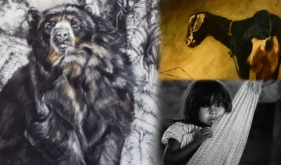 Obras de arte de Santa Marta,  Manizales y Villavicencio expuestas en los centros culturales del Banco de la República. 