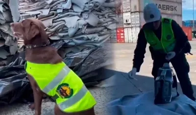 La incautación de la cocaína fue realizada por la Policía. 