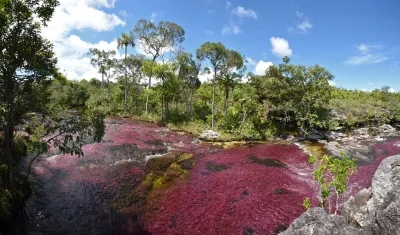Amazonía colombiana.