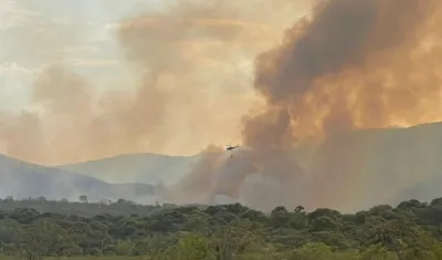 Incendio forestal.