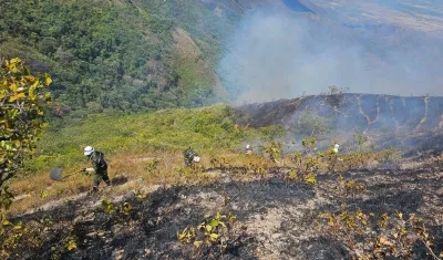 Imagen de referencia.