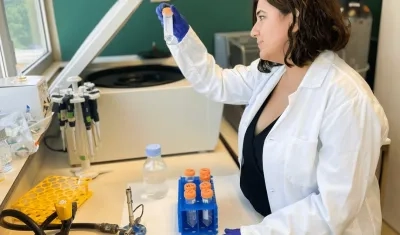 Imagen de referencia.