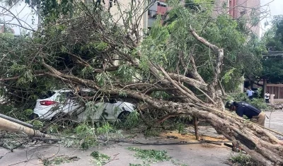 Árbol caído encima de vehículos en la calle 79 con carrera 52. 