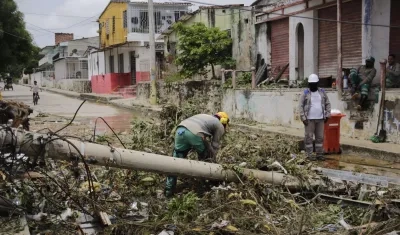Caída de árboles y poste.