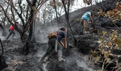 Imagen de bosques quemados en Perú. 