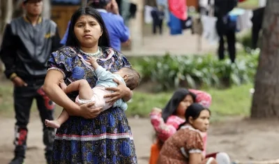 Regresaran al municipio de Pueblo Rico, en el departamento de Risaralda. 