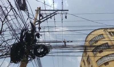 Telarañas en postes de Barranquilla.