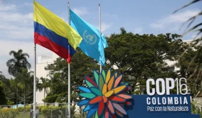 Bandera de Colombia, de la ONU y el logo de la COP16, en Cali. 
