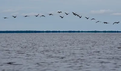 La Ciénaga Grande de Santa Marta.