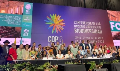 La sesión del Congreso en la COP16.