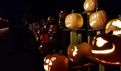 Imagen de referencia.