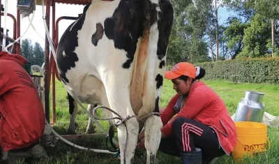 Imagen de referencia.