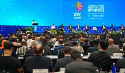 Gustavo Petro en la COP16.