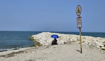 Imagen de referencia.