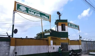 Fachada de la nevada de Transporte Lolaya. 