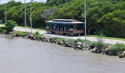 El Tren Turístico de Las Flores.
