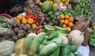 Imagen de referencia.