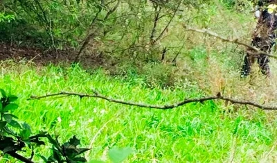 Cerca de la finca de nombre La Cruz.