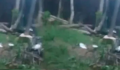 Zona donde encontraron el cadáver.