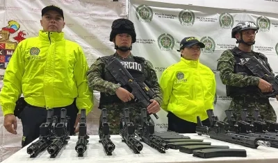 Las armas incautadas.