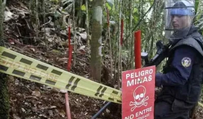 Imagen de referencia.