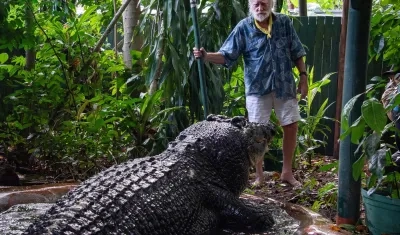 Fotografía del cuidador del centro Marineland Melanesia de Australia con 'Cassius'.