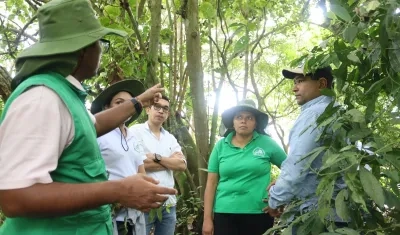 Acciones de búsqueda de los caimanes en San Marcos, Sucre.