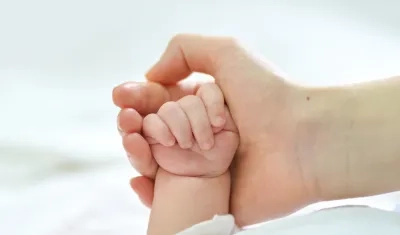 Imagen de referencia. 