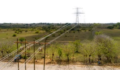 Imagen de referencia.