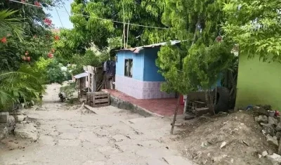 Brenda Velásquez Iriarte