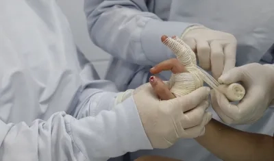 Imagen de referencia.