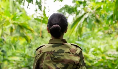 Imagen de referencia.