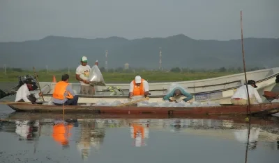 Jornada de repoblamiento de alevinos en el embalse El Guájaro.