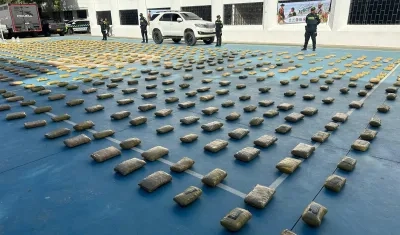 Marihuana incautada. 