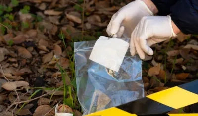 Imagen de referencia.