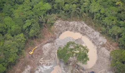 Imagen de referencia.