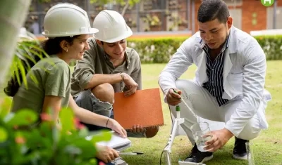 Imagen de referencia.