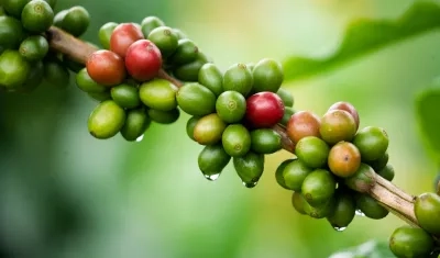 Imagen de referencia.