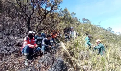 Trabajos en Parque Nacional Chingaza.