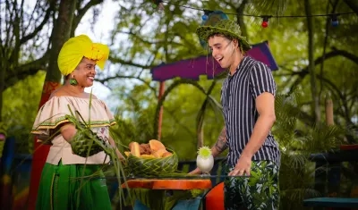 Imagen de referencia.