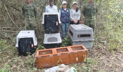 Miembros de la Armada de Colombia, junto a integrantes de la Corporación Autónoma Regional del Canal del Dique (CARDIQUE). 