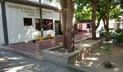 La víctima recibió ocho disparo.