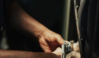 Imagen de referencia.