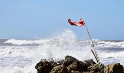 Imagen de referencia.