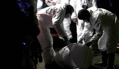 Imagen de referencia.