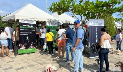 Jornadas de bienestar animal en Barranquilla.