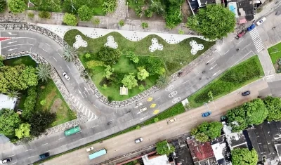 Panorámica de árboles sembrados en Barranquilla.