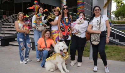 Las mascotas serán las protagonistas. 