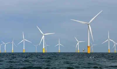 Imagen de referencia.