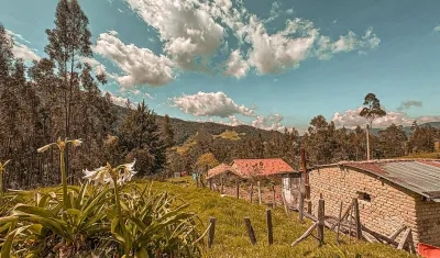 Imagen de referencia de un predio.